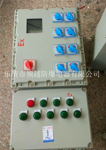 BXMD煉油廠防爆動力照明箱 高效安全的配電開關控制設備解決方案